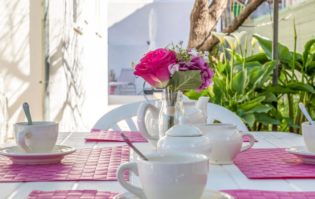 Mont des oiseaux - Photo 10