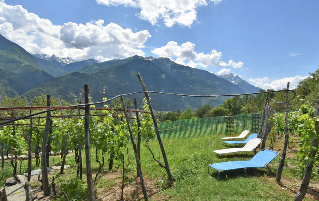 Rustico Rebustella - Photo 5