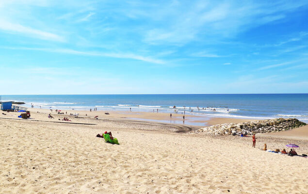 Taste Rebire - Photo 24