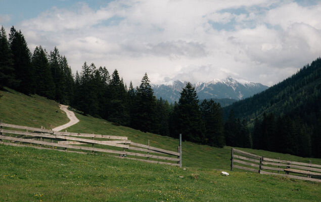 Sissis Green Chalets Hubertus - Photo 37