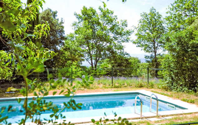 Le Bois d'Amour - Photo 35